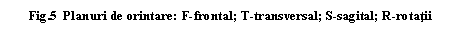 Text Box: .5 Planuri de orintare: F-frontal; T-transversal; S-sagital; R-rotatii

