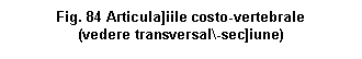 Text Box: . 84 Articula]iile costo-vertebrale
(vedere transversal\-sec]iune)
