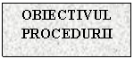 Text Box: OBIECTIVUL PROCEDURII