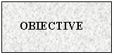 Text Box: OBIECTIVE
