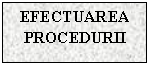 Text Box: EFECTUAREA PROCEDURII