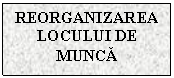 Text Box: REORGANIZAREA LOCULUI DE MUNCA