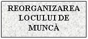 Text Box: REORGANIZAREA LOCULUI DE MUNCA