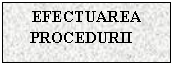 Text Box: EFECTUAREA PROCEDURII