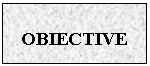 Text Box: OBIECTIVE
