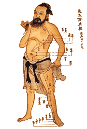 Schema-acupuncture.gif