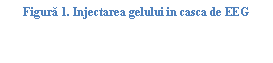 Text Box: ura 45. Injectarea gelului in casca de EEG