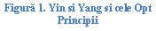 Text Box: ura 12. Yin si Yang si cele Opt Principii