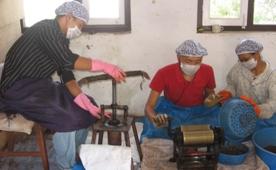 tibetan medicine.jpg