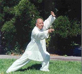 tai chi chuan.jpg